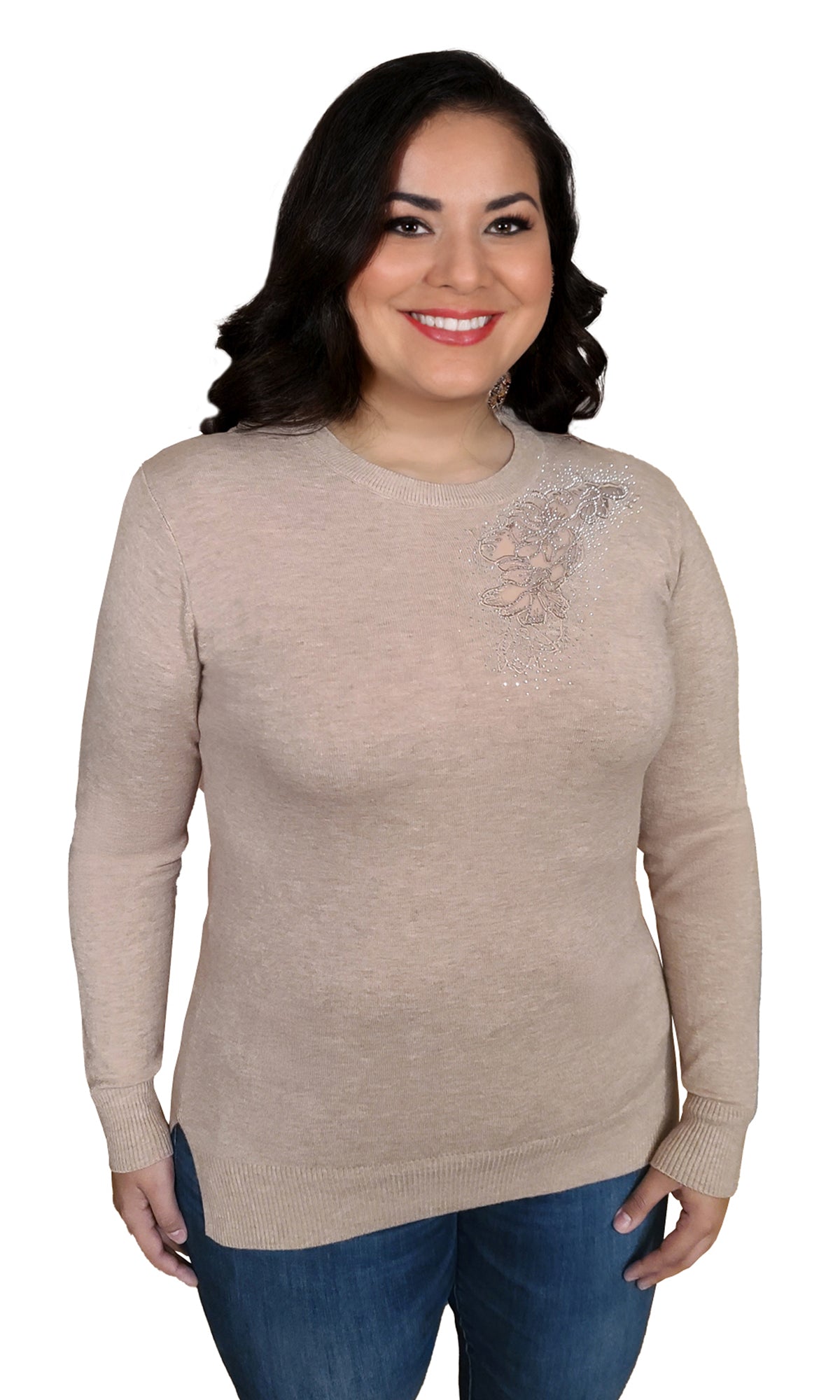 Suéter cerrado con aplicación. MOD. BWQ7C-020.